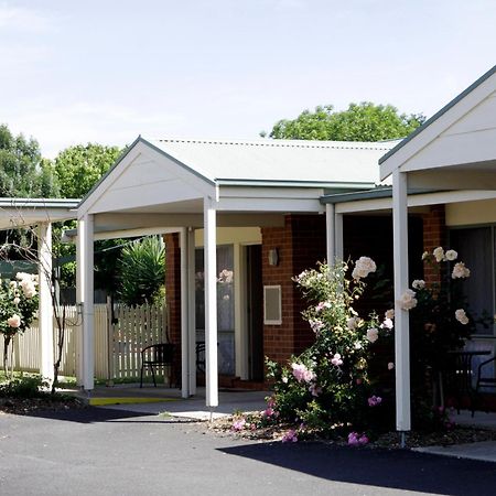 Rose Garden Motel Geelong Eksteriør bilde