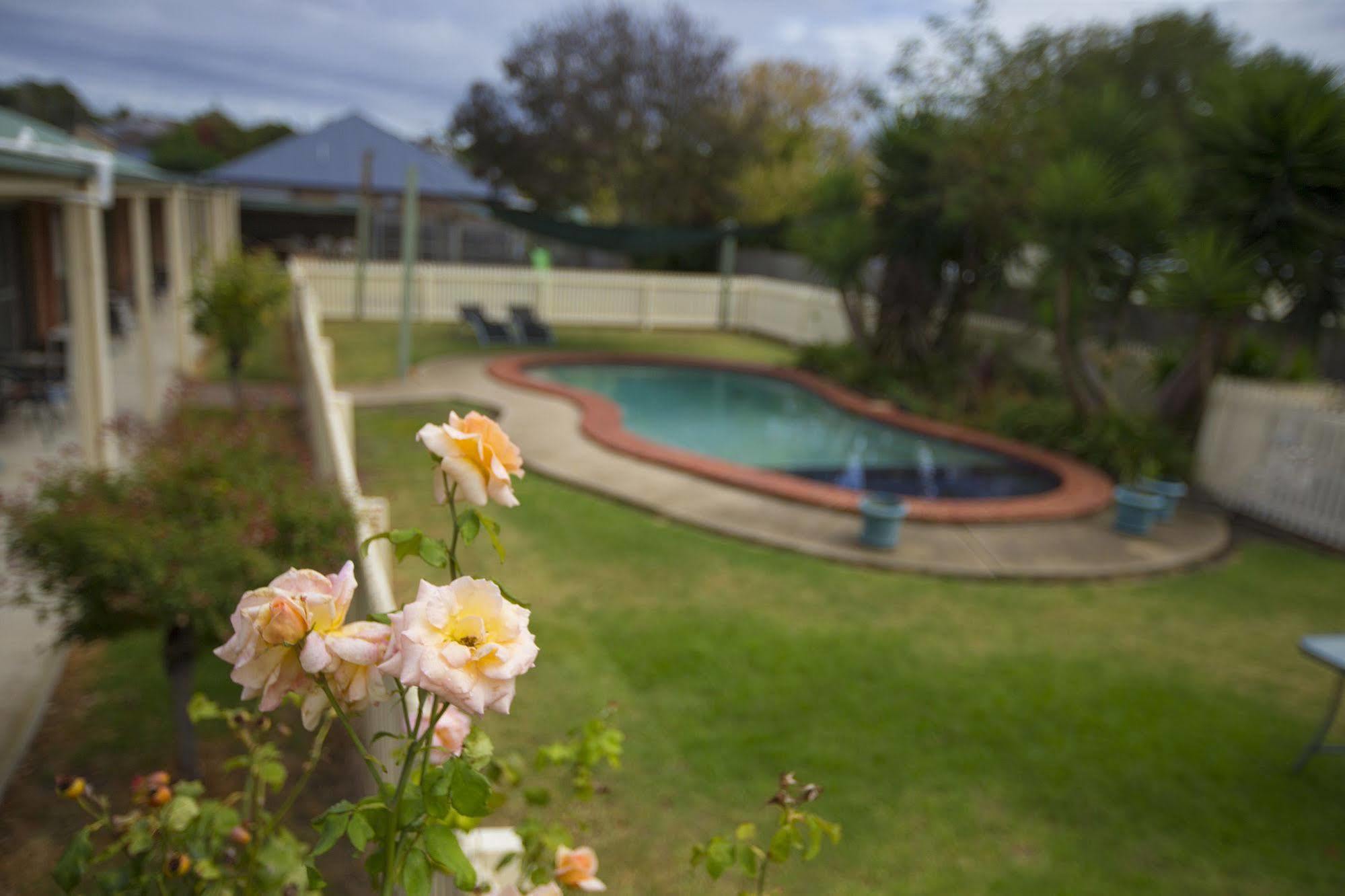 Rose Garden Motel Geelong Eksteriør bilde