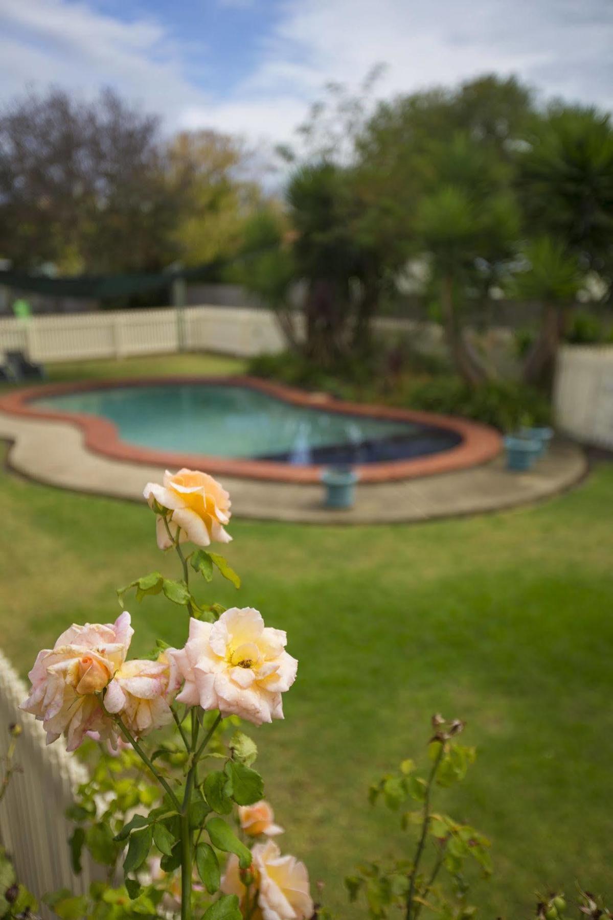 Rose Garden Motel Geelong Eksteriør bilde